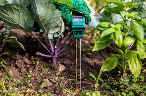 types of soil moisture sensors|recommended soil moisture levels.